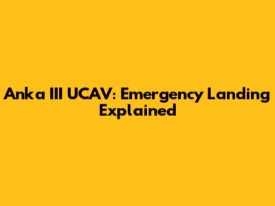 Anka III UCAV: Emergency Landing Explained