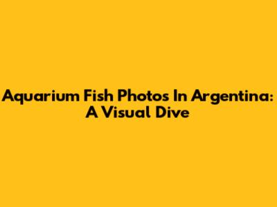 Aquarium Fish Photos In Argentina: A Visual Dive
