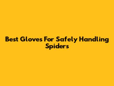 Best Gloves For Safely Handling Spiders