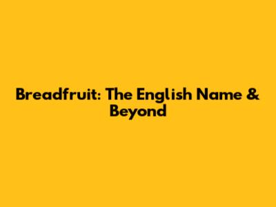 Breadfruit: The English Name & Beyond