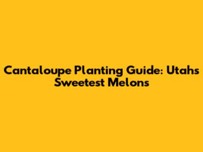 Cantaloupe Planting Guide: Utah's Sweetest Melons