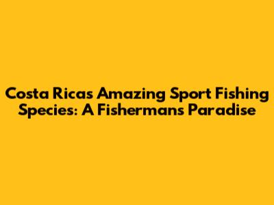 Costa Rica's Amazing Sport Fishing Species: A Fisherman's Paradise