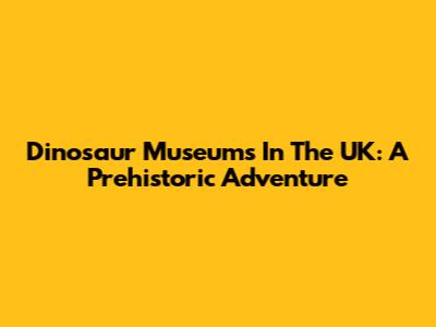 Dinosaur Museums In The UK: A Prehistoric Adventure