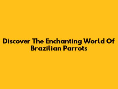 Discover The Enchanting World Of Brazilian Parrots
