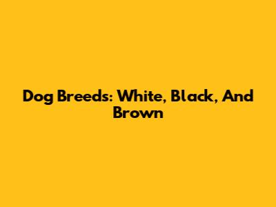 Dog Breeds: White, Black, And Brown