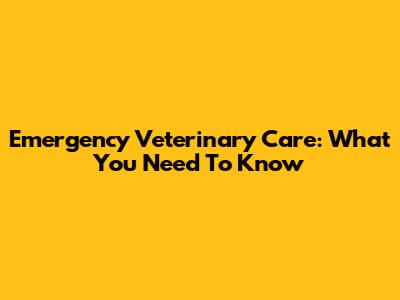 Emergency Veterinary Care: What You Need To Know