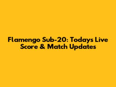 Flamengo Sub-20: Today's Live Score & Match Updates