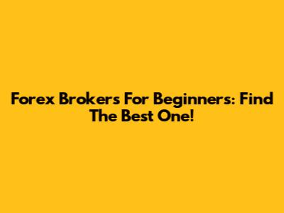 Forex Brokers For Beginners: Find The Best One!