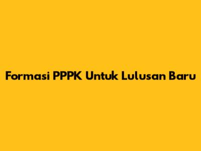Formasi PPPK Untuk Lulusan Baru