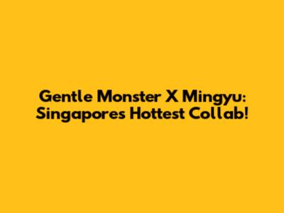 Gentle Monster X Mingyu: Singapore's Hottest Collab!