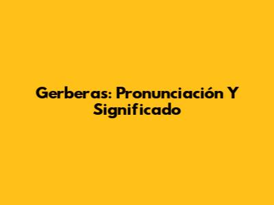 Gerberas: Pronunciación Y Significado