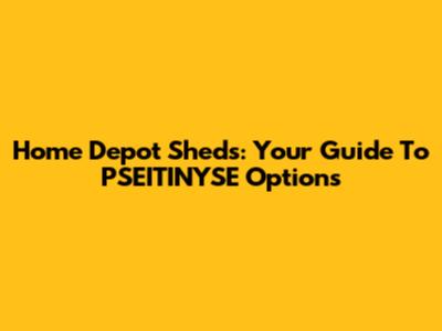Home Depot Sheds: Your Guide To PSEITINYSE Options