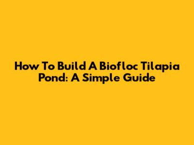 How To Build A Biofloc Tilapia Pond: A Simple Guide