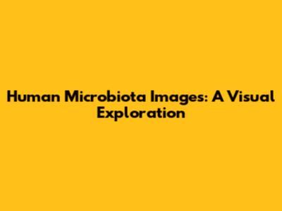 Human Microbiota Images: A Visual Exploration