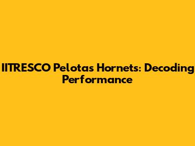 IITRESCO Pelotas Hornets: Decoding Performance