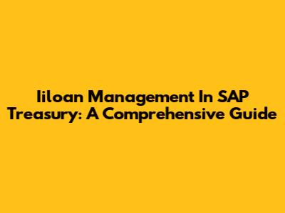 Iiloan Management In SAP Treasury: A Comprehensive Guide