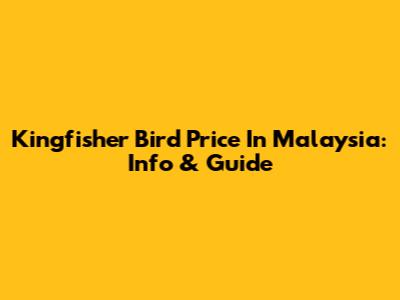 Kingfisher Bird Price In Malaysia: Info & Guide