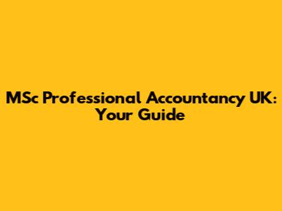 MSc Professional Accountancy UK: Your Guide