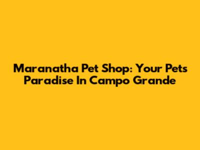 Maranatha Pet Shop: Your Pet's Paradise In Campo Grande