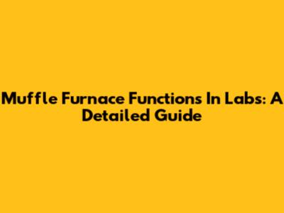 Muffle Furnace Functions In Labs: A Detailed Guide