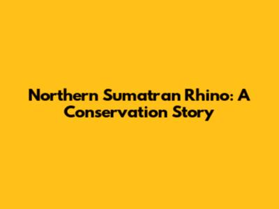Northern Sumatran Rhino: A Conservation Story