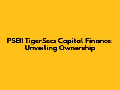 PSEII TigerSec's Capital Finance: Unveiling Ownership