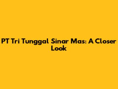 PT Tri Tunggal Sinar Mas: A Closer Look