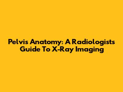 Pelvis Anatomy: A Radiologist's Guide To X-Ray Imaging