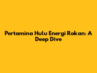 Pertamina Hulu Energi Rokan: A Deep Dive
