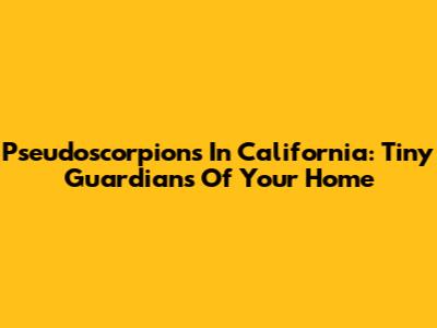 Pseudoscorpions In California: Tiny Guardians Of Your Home