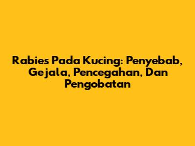 Rabies Pada Kucing: Penyebab, Gejala, Pencegahan, Dan Pengobatan