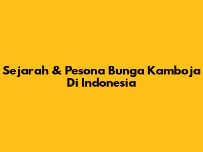 Sejarah & Pesona Bunga Kamboja Di Indonesia