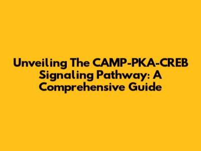 Unveiling The CAMP-PKA-CREB Signaling Pathway: A Comprehensive Guide
