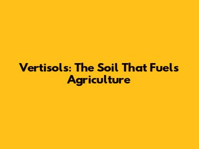 Vertisols: The Soil That Fuels Agriculture