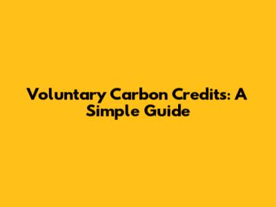 Voluntary Carbon Credits: A Simple Guide